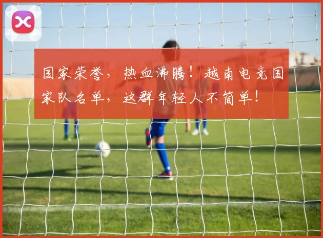 国家荣誉，热血沸腾！越南电竞国家队名单，这群年轻人不简单！
